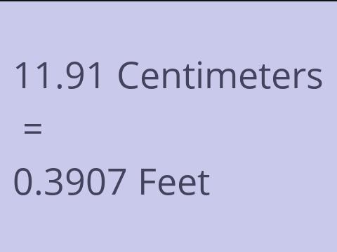 11.91 CM TO FEET