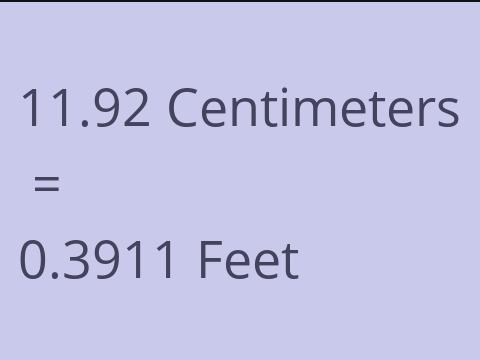 11.92 CM TO FEET