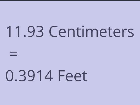 11.93 CM TO FEET