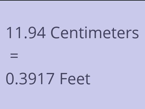 11.94 CM TO FEET