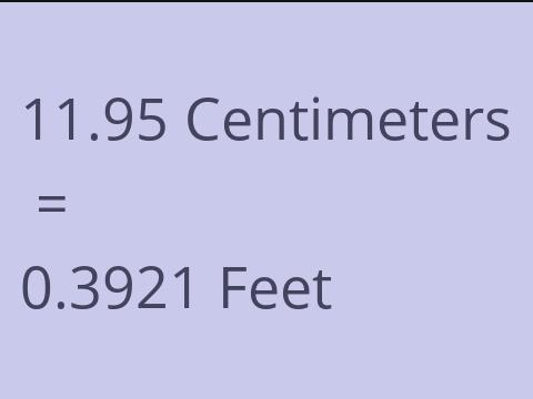 11.95 CM TO FEET