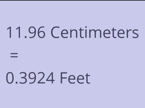 11.96 CM TO FEET