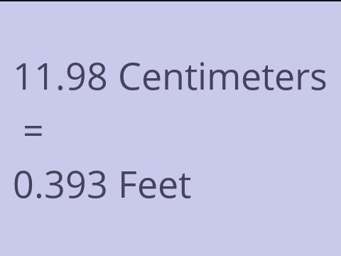 11.98 CM TO FEET