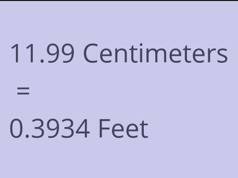 11.99 CM TO FEET