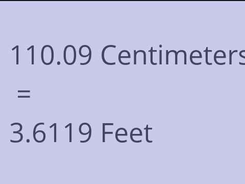 110.09 CM TO FEET