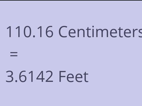 110.16 CM TO FEET