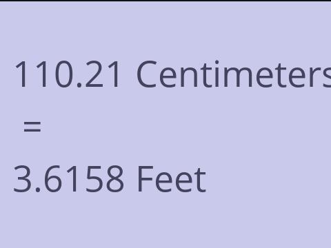 110.21 CM TO FEET