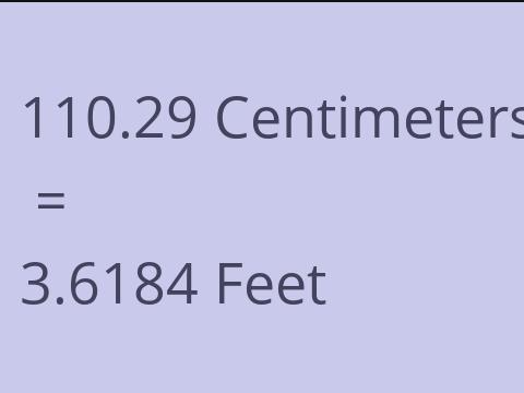 110.29 CM TO FEET