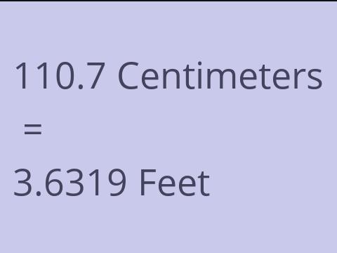 110.7 CM TO FEET