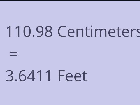 110.98 CM TO FEET