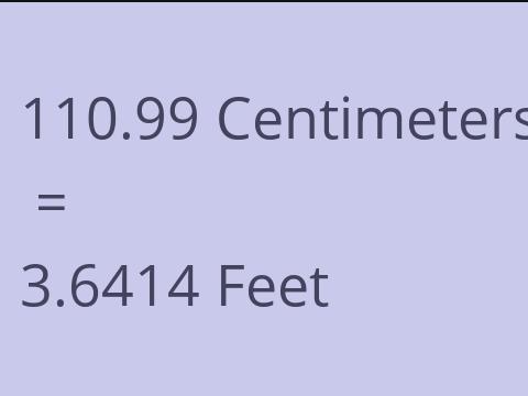 110.99 CM TO FEET