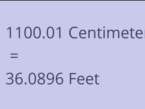 1100.01 CM TO FEET