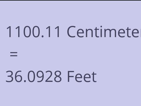 1100.11 CM TO FEET