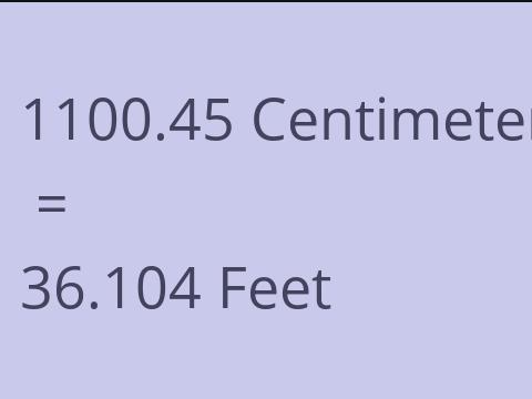 1100.45 CM TO FEET