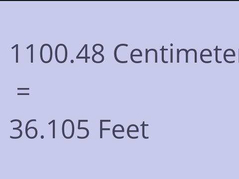 1100.48 CM TO FEET