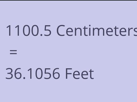 1100.5 CM TO FEET