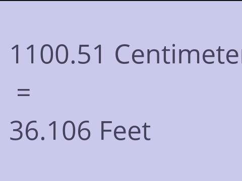 1100.51 CM TO FEET