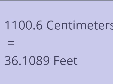 1100.6 CM TO FEET