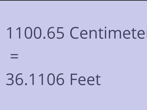 1100.65 CM TO FEET