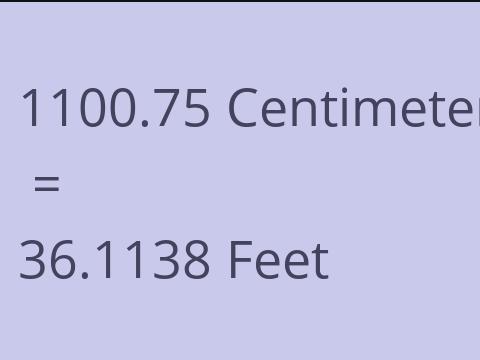 1100.75 CM TO FEET