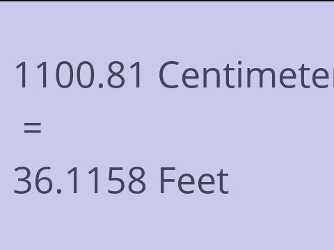 1100.81 CM TO FEET