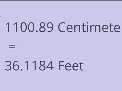 1100.89 CM TO FEET