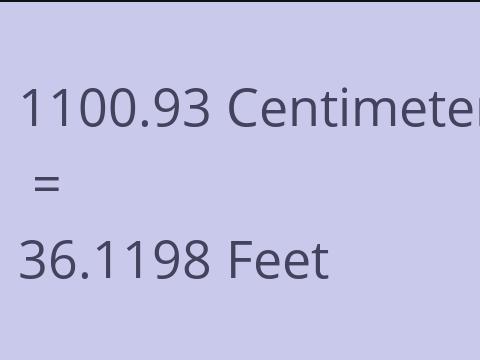 1100.93 CM TO FEET