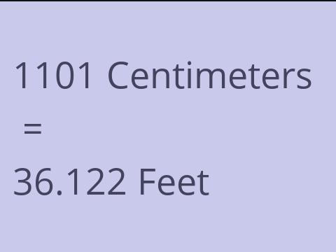 1101 CM TO FEET