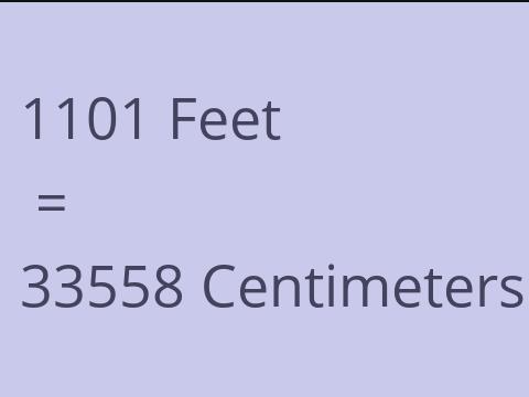 1101 FEET TO CM