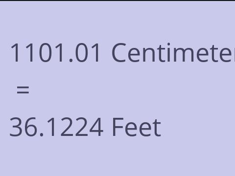 1101.01 CM TO FEET