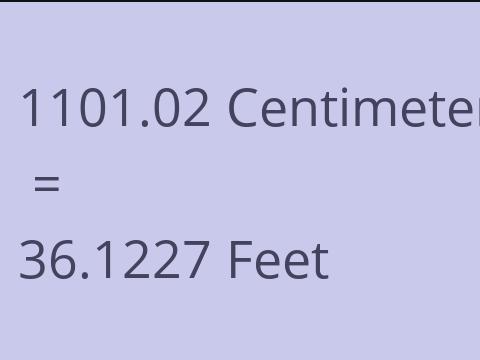 1101.02 CM TO FEET