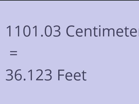 1101.03 CM TO FEET