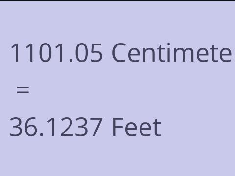 1101.05 CM TO FEET