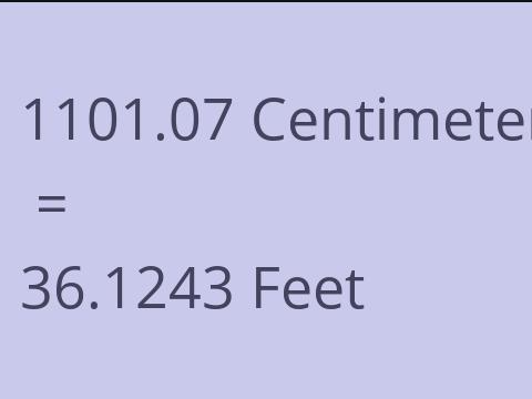 1101.07 CM TO FEET