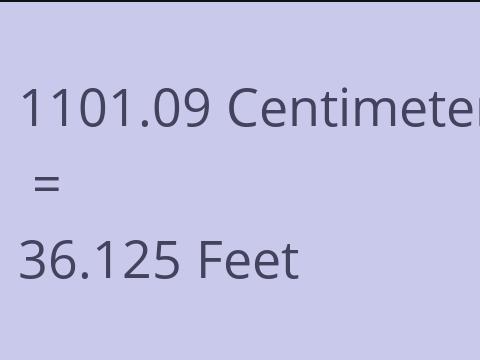 1101.09 CM TO FEET