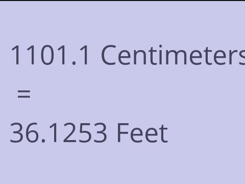 1101.1 CM TO FEET