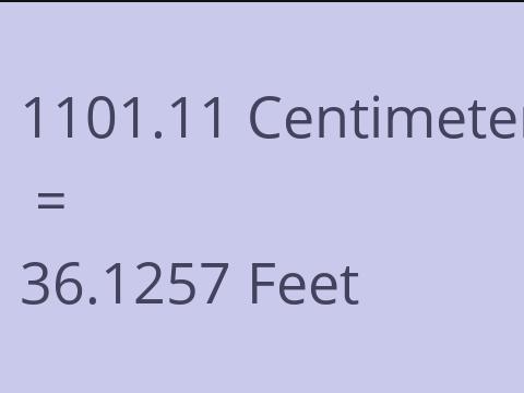 1101.11 CM TO FEET