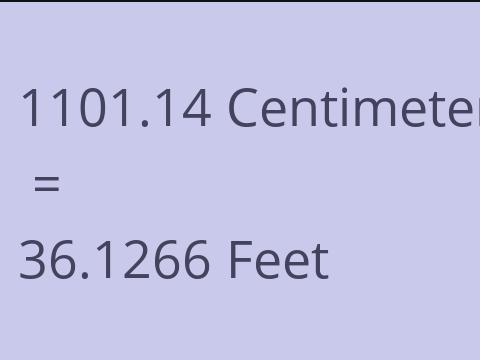 1101.14 CM TO FEET