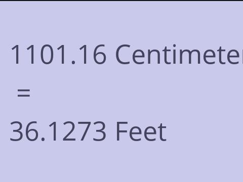 1101.16 CM TO FEET