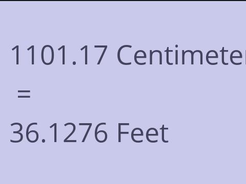 1101.17 CM TO FEET