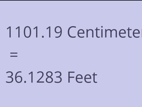 1101.19 CM TO FEET