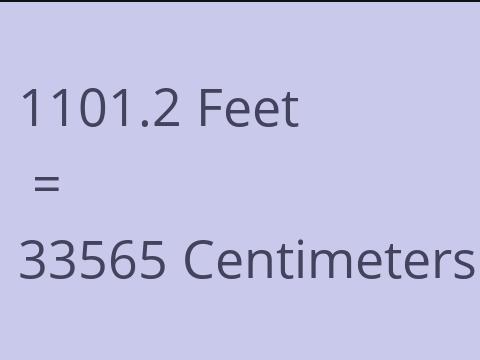 1101.2 FEET TO CM