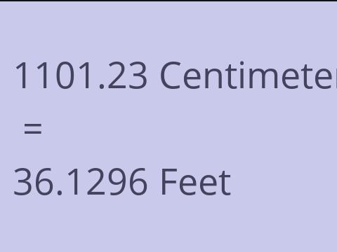 1101.23 CM TO FEET