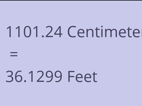 1101.24 CM TO FEET