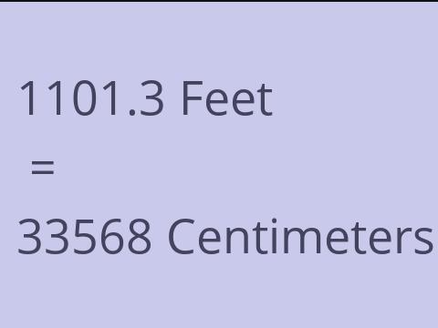 1101.3 FEET TO CM