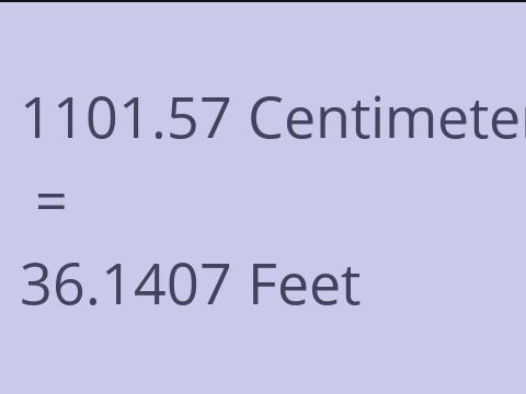 1101.57 CM TO FEET