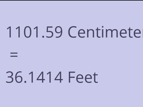 1101.59 CM TO FEET