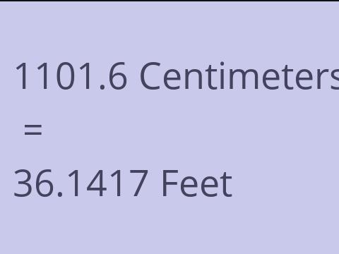 1101.6 CM TO FEET