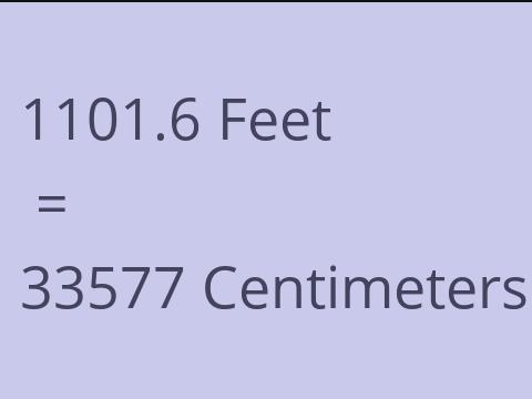 1101.6 FEET TO CM