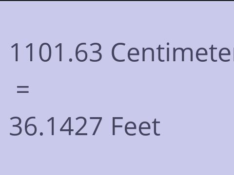 1101.63 CM TO FEET